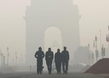 IMD Issues Cold Wave, Dense Fog Warning; Minimum Temp To Drop The In Delhi From This Day